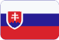 Ведение бухгалтерского учёта в Чешской Республике Slovensky